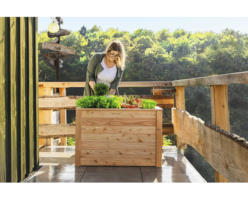 Frau bepflanzt ein Hochbeet aus Holz mit Salat und Gemüse auf einer Terrasse.