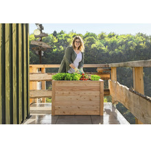 Hochbeet klassisch WESTMANN Klassic 100 x 65 x 66 cm natur
