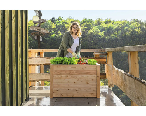 Frau gärtnert in einem Hochbeet mit Salat und Tomaten auf einer Terrasse mit Holzzaun