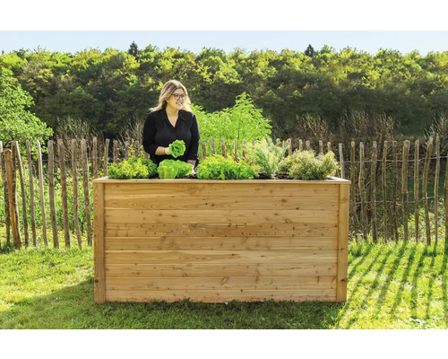Hochbeet aus Holz mit Salat und Frau im Garten