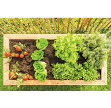 Hochbeet klassisch WESTMANN Klassic 170 x 90 x 84 cm natur