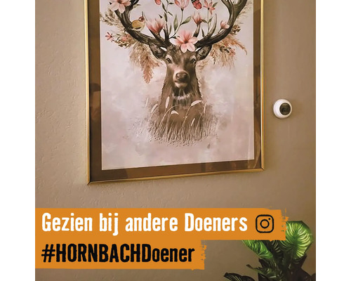 Gerahmtes Bild mit Hirschmotiv und Blumenschmuck an der Wand