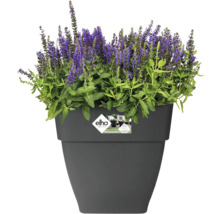 Blumentopf Elho Vibia Kunststoff 36 x 36,4 x 35,6 cm eckig schwarz