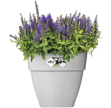 Blumentopf Elho Vibia Kunststoff 36 x 36,4 x 35,6 cm eckig grau