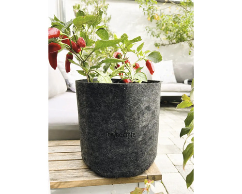 Pflanze mit roten Chilischoten in einem grauen Pflanzgefäß aus Filz.
