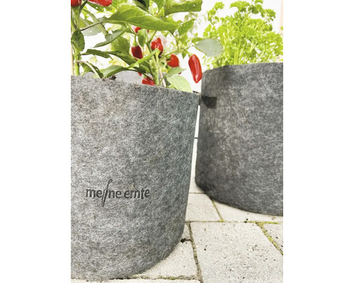 Zwei graue Pflanzgefäße aus Filz mit Kräutern und Paprikapflanze