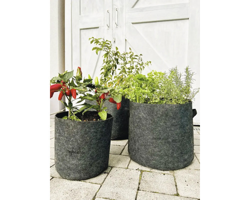 Drei graue Pflanzsäcke mit Gemüse auf Pflastersteinen vor einer Tür