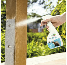 Anwendung von Marderschutzspray auf einer Holzoberfläche