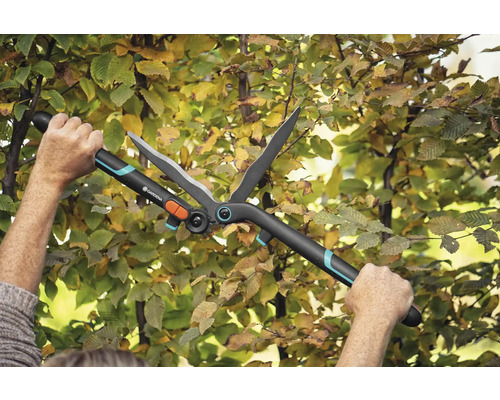 Gartenschere im Einsatz an einer Hecke