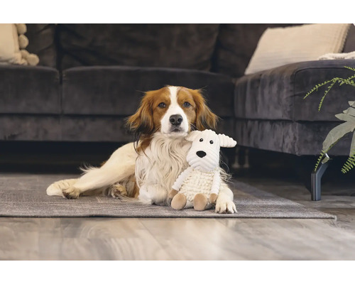 Ein Hund liegt mit einem Stofftier auf einem Teppich vor einem Sofa.