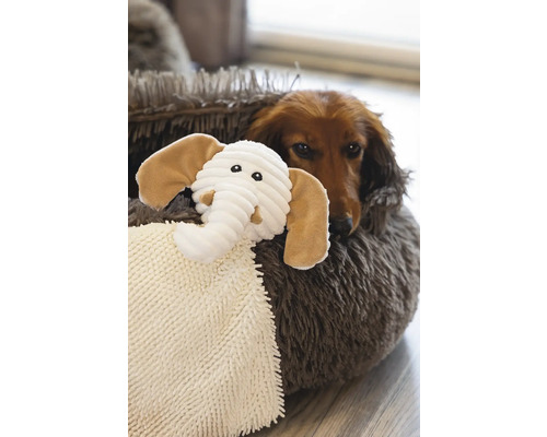 Dackel liegt mit einem Plüschtier-Elefanten in einem Hundebett
