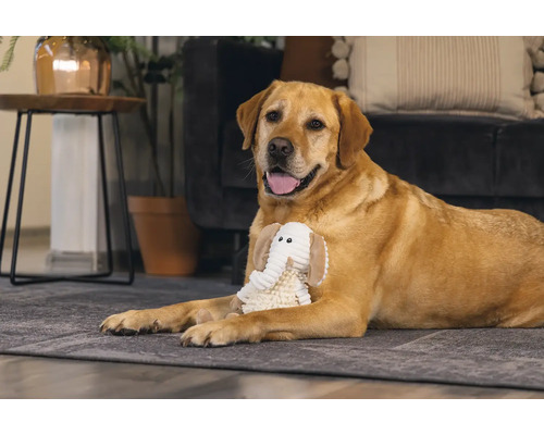 Ein Labrador liegt mit einem Elefantenspielzeug auf einem Teppich in einem Wohnzimmer.