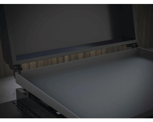 Grillplatte mit geöffnetem Deckel