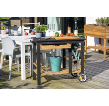 Outdoor-Szene mit Gartentisch, Stühlen und einem Servierwagen mit Ablageflächen und Rädern