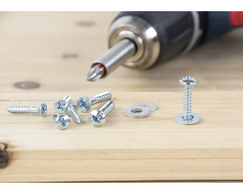 Akkuschrauber und verschiedene Schrauben auf Holzuntergrund
