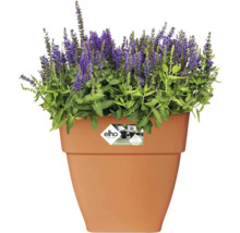 Blumentopf Elho Vibia Kunststoff 29 x 28,8 x 28,2 cm eckig braun