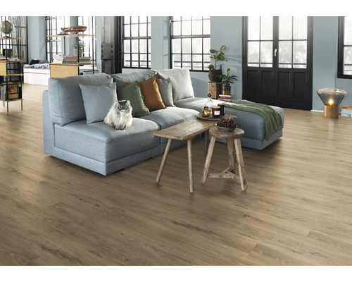 Wohnzimmer mit grauer Couch, Holzboden und Katze