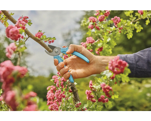 Eine Person schneidet einen Ast mit einer Gartenschere vor einem Hintergrund von Blumen.
