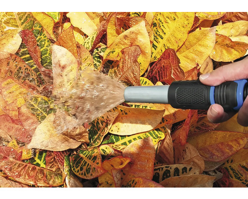 Gartenbewässerung mit Gartenschlauch auf Blätter