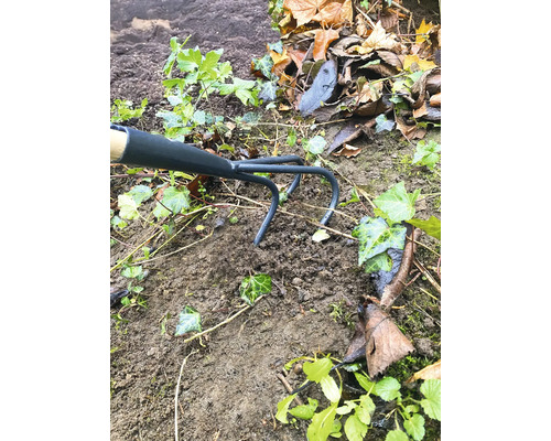 Gartenharke im Einsatz zwischen Erde und Pflanzen