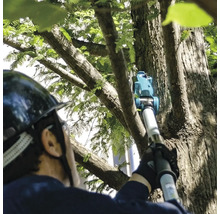 Eine Person mit Helm benutzt eine Hochentaster zum Beschneiden eines Baumes.