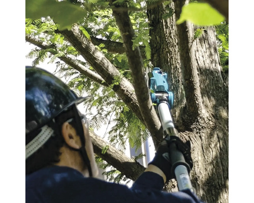 Eine Person mit Helm benutzt eine Hochentaster zum Beschneiden eines Baumes.