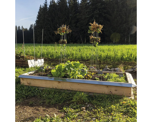 Hochbeet mit verschiedenen Gemüsesorten und Rankhilfen im Garten
