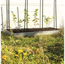 Hochbeet mit Pflanzenstützen und jungen Pflanzen im Garten.