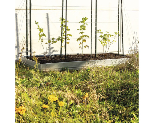 Hochbeet mit Pflanzenstützen und jungen Pflanzen im Garten.