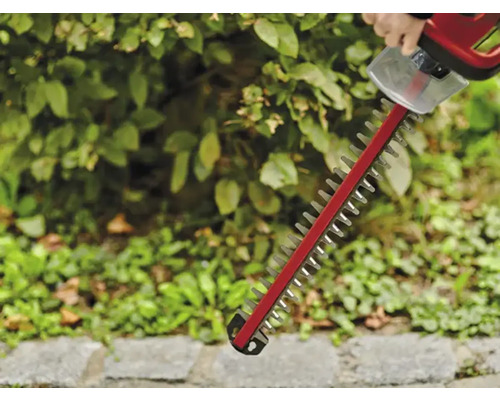 Heckenschere im Einsatz zum Beschneiden einer Hecke