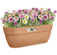 Blumenampel Elho Vibia Campana Kunststoff 46 x 24,1 x 26,5 cm braun