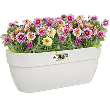 Blumenkasten Elho Vibia Campana Kunststoff 46 x 24,1 x 26,5 cm weiß