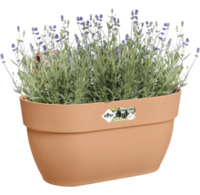 Blumenkasten Elho Vibia Campana Kunststoff 36 x 24,1 x 26,5 cm braun