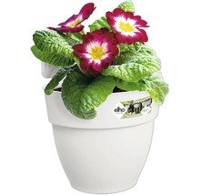 Blumenkasten Elho Vibia Campana Kunststoff 21 x 24,1 x 26,5 cm weiß