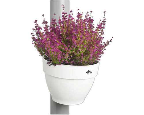 Aufnahme einer Erika Pflanze in einem weißen Elho Blumentopf, der an einer grauen Stange befestigt ist.