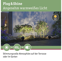 Beleuchteter Garten mit Plug and Shine System und warmweissem Licht