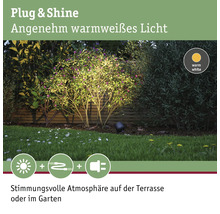 Plug and Shine Gartenleuchte beleuchtet Busch mit warmweissem Licht.
