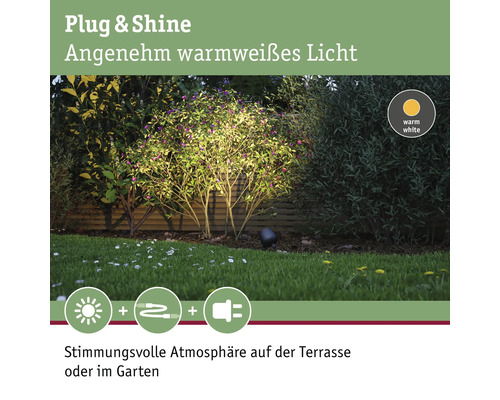 Plug and Shine Gartenleuchte beleuchtet Busch mit warmweissem Licht.