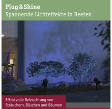 Beleuchtete Sträucher und Büsche im Garten mit Erdspießleuchten