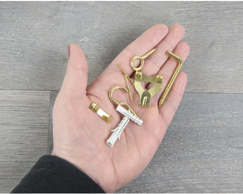 Hand hält Bilderhaken, Schraubhaken und Dübel