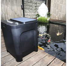 Solar Teichfilter mit Teich und Koi Karpfen im Garten.