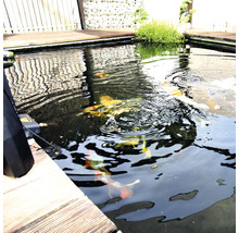 Teich mit Zierfischen und Holzelementen