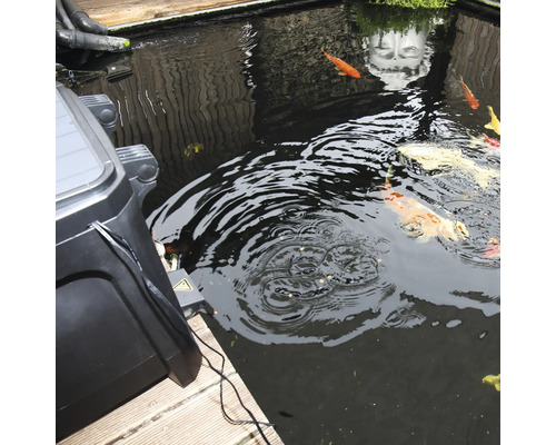 Teich mit Koi Karpfen und Teichfilter am Rand
