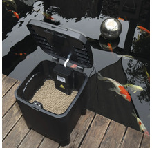 Automatischer Fischfutterautomat am Teich mit Fischen