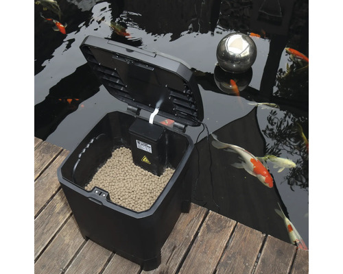 Automatischer Fischfutterautomat am Teich mit Fischen