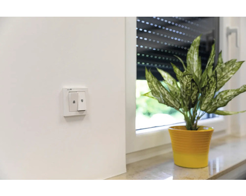 Innenaufnahme mit Lichtschalter und Topfpflanze auf der Fensterbank