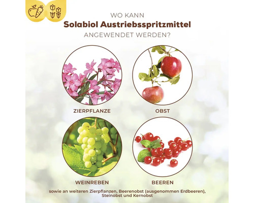 Anwendungsbereiche von Solabiol Austriebsspritzmittel: Zierpflanze, Obst, Weinreben und Beeren