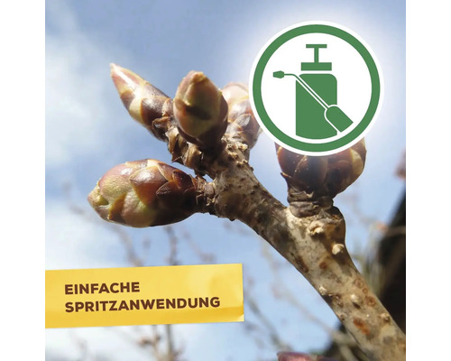 Zweig mit Knospen und Symbol für einfache Spritzanwendung