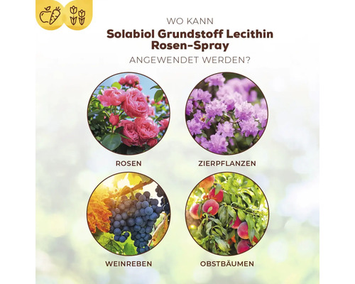 Anwendungsbereiche Solabiol Grundstoff Lecithin Rosen-Spray: Rosen, Zierpflanzen, Weinreben, Obstbäume
