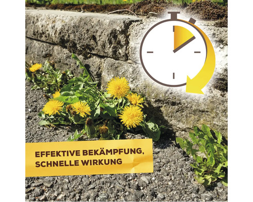 Symbol für schnelle Wirkung bei der Unkrautbekämpfung mit dem Hinweis effektive Bekämpfung, schnelle Wirkung.